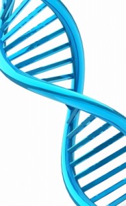 DNA Double Helix DNA Double Helix