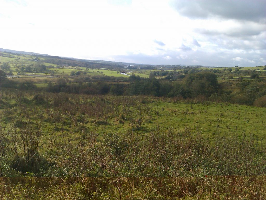 Image of Green Pasture Farms