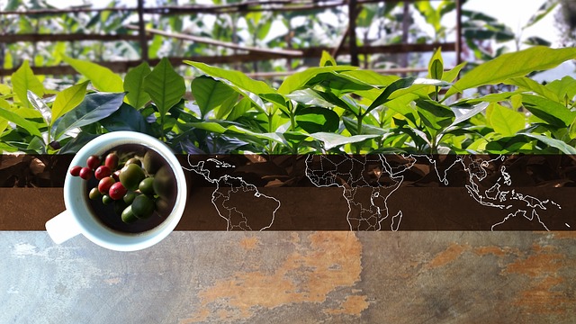 Bean Belt