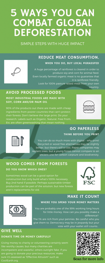 5 Ways You Can Help Combat Deforestation